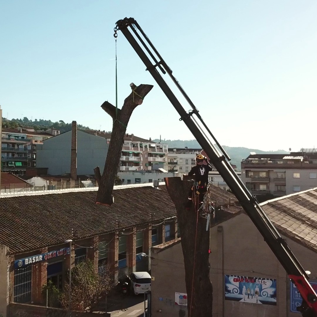 Desplazamiento de un tronco de 3m de longitud con un camión grúa
