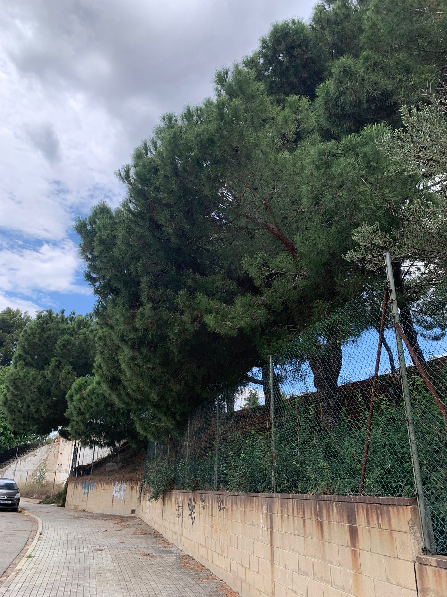 5c411d05-43fe-43eb-a1d6-936e20f83ca7