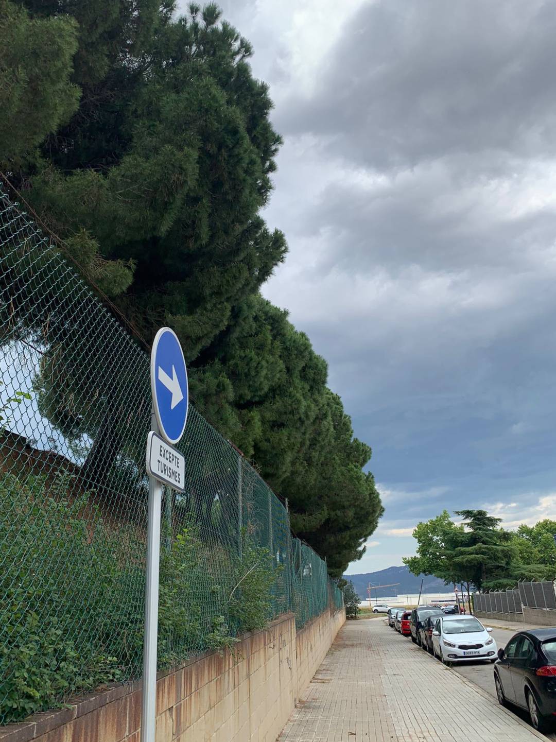 servicio-poda-pinos-por-invasion-via-publica