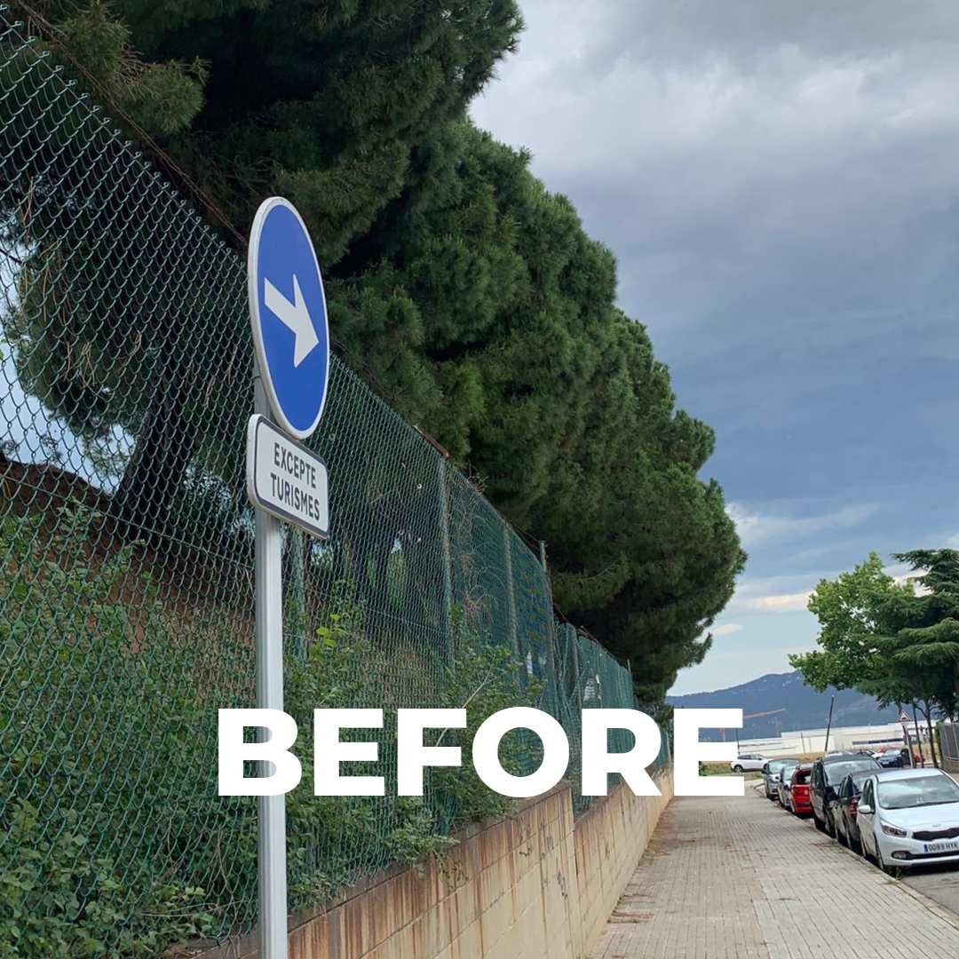 Antes de la poda de unos pinos que invadían la calle