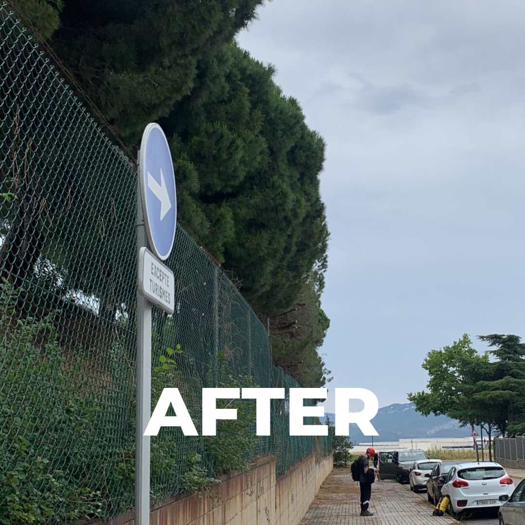 Después de la poda de unos pinos realizada por el aviso del ayuntamiento