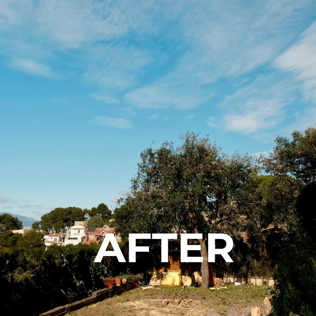 Resultado final de la tala de un pinus halepensis en Cerdanyola del Vallès