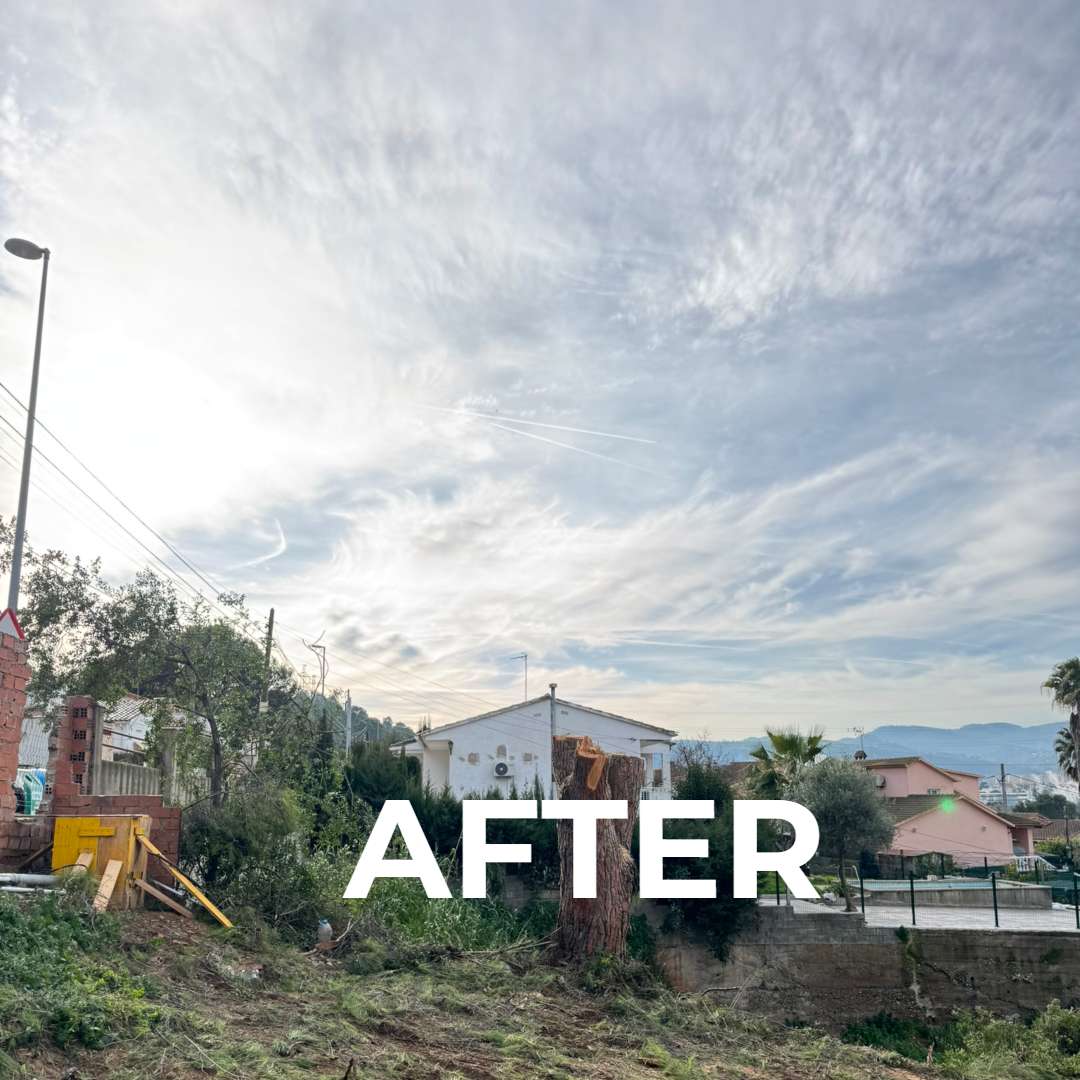 Después de un servicio de tala en el Baix Llobregat