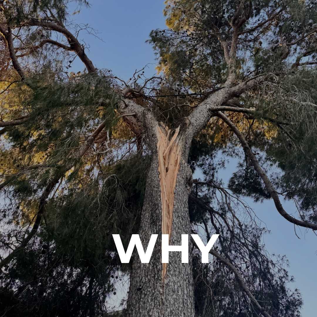 Retirada de pino por fisura en la codominancia