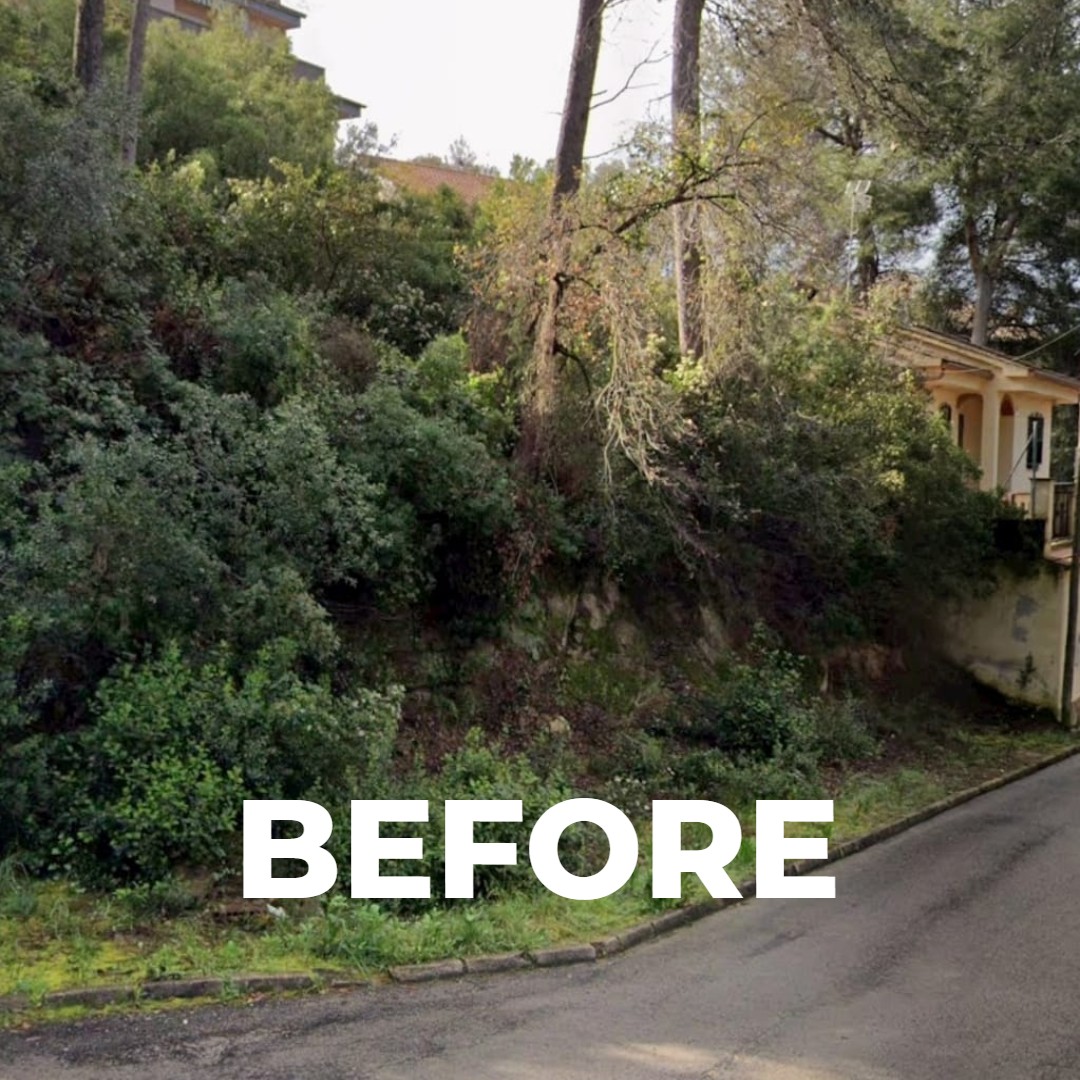 Antes del desbroce de un terreno en Barcelona