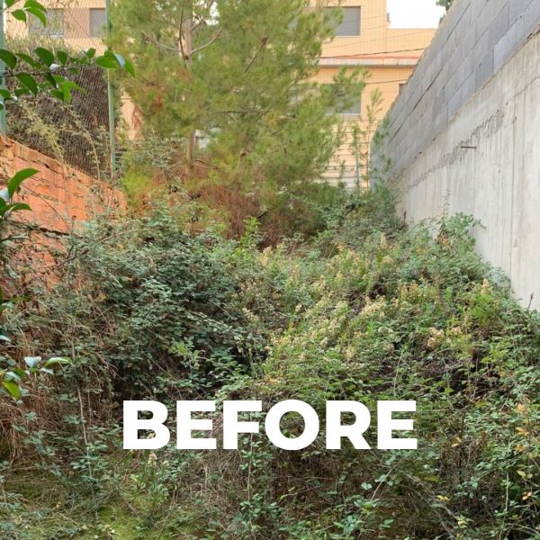 Presupuesto limpieza de parcelas, retirada de arbustos, desbroces