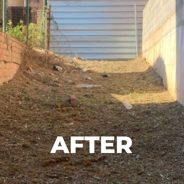 Resultado de un servicio de desbroce