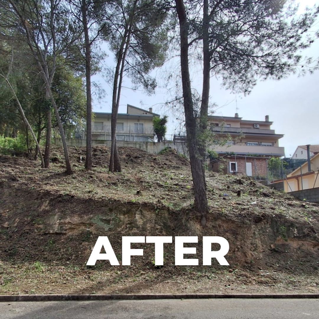 Servicio de desbroce de parcela en Abrera, Baix Llobregat